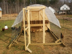 am extremely partial to keeping chickens outdoors in a movable coop 