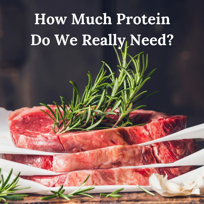 How Much Protein Do We Really Need