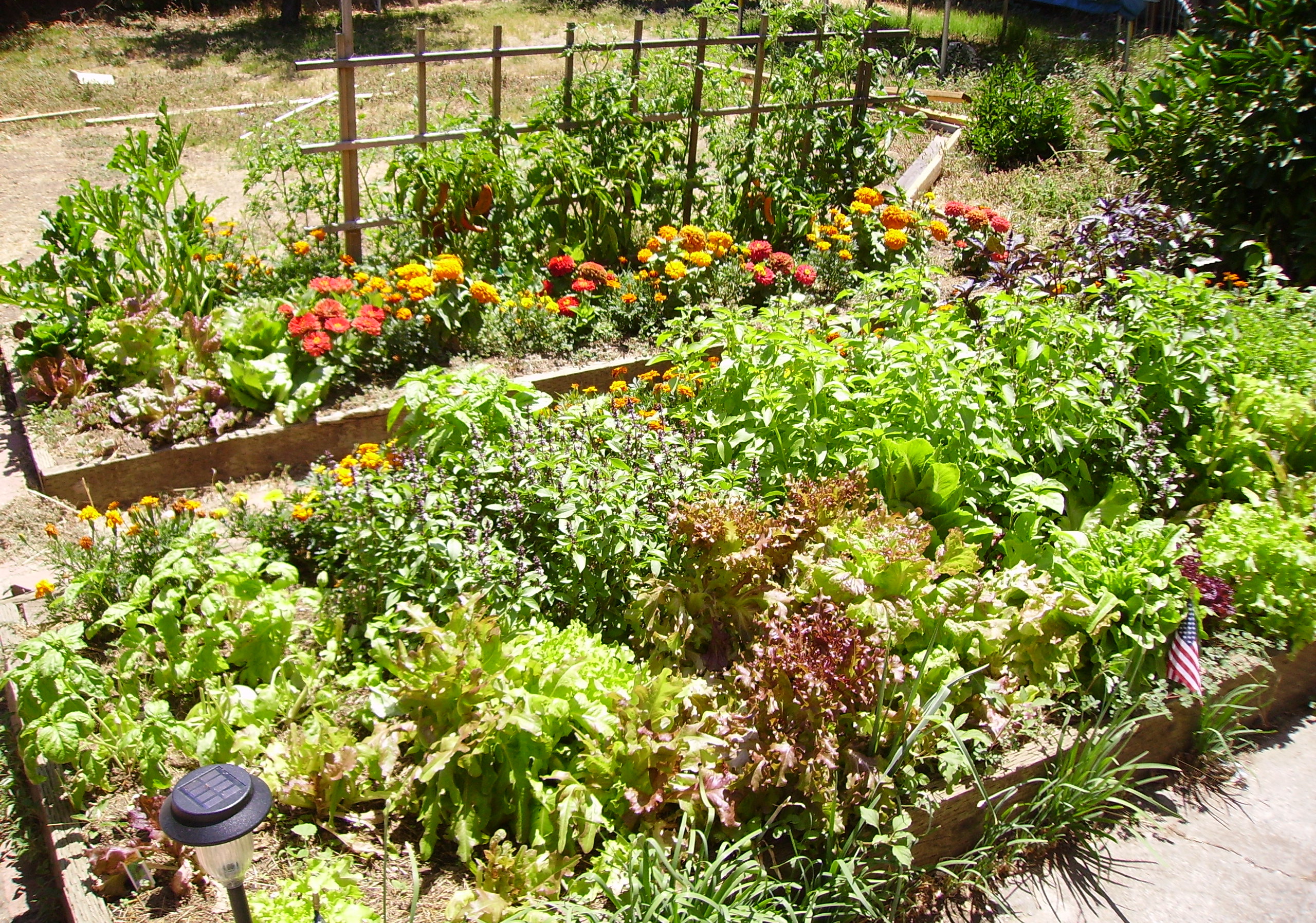 Огород овощи уход. Пермакультура на 6 сотках. Грядки в огороде. Красивые грядки в саду.