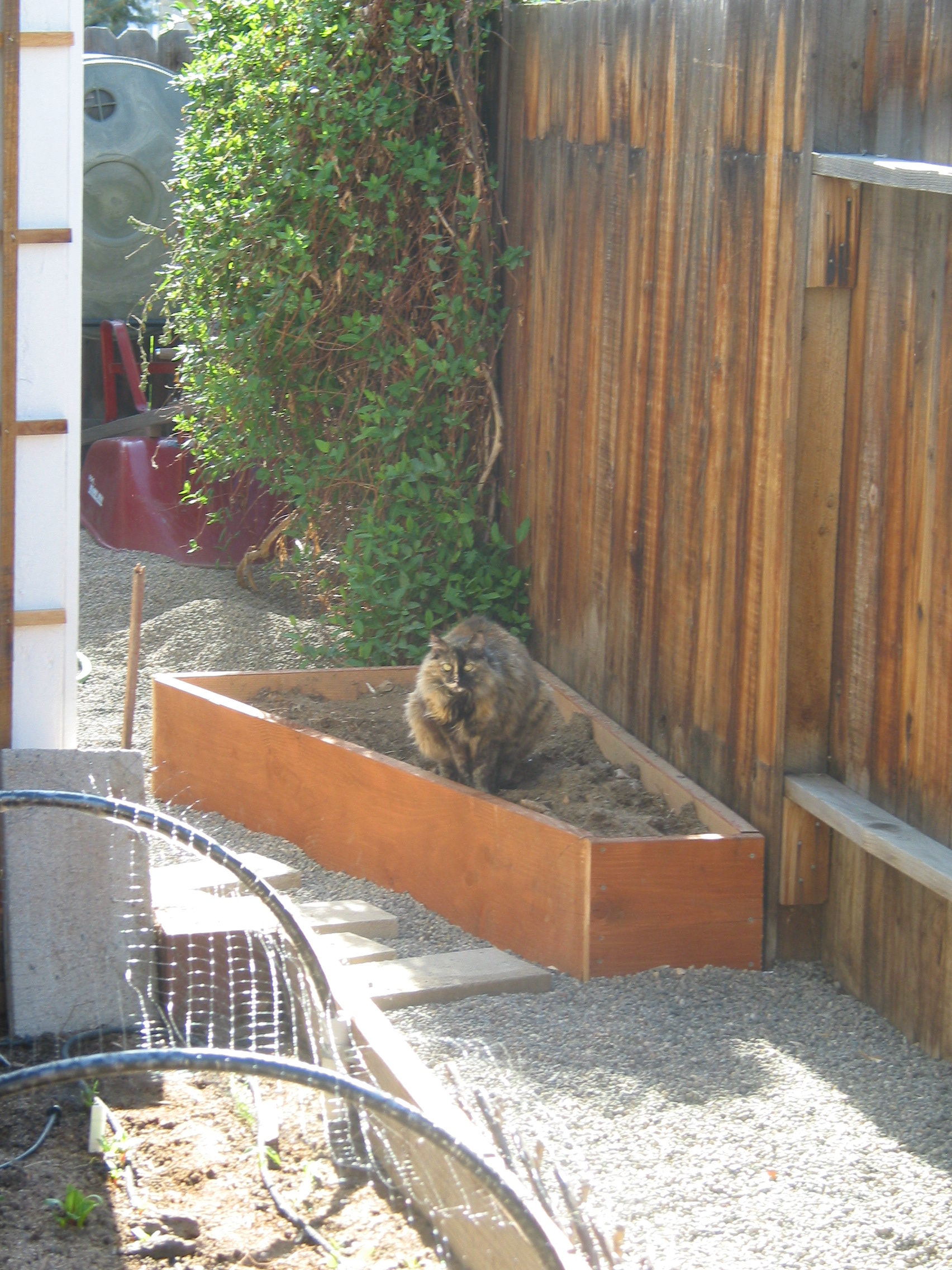 Oh Poo! Using Manure in Your Organic Garden