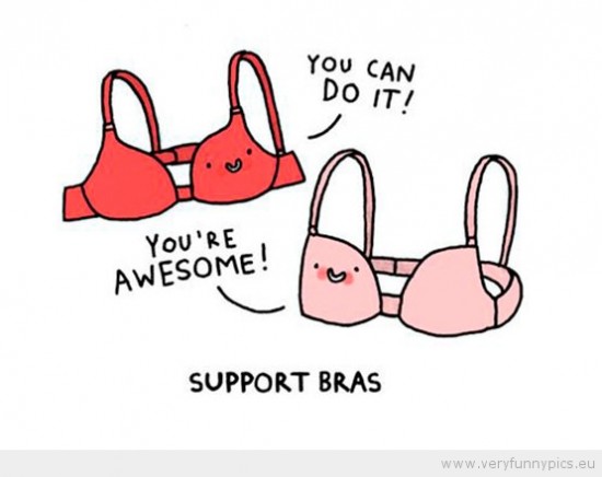 funny-picture-support-bras