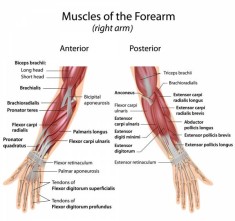 “Technology Hand” Is Destroying Your Upper Body Strength