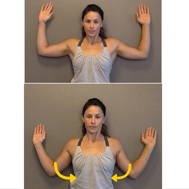 Robb Wolf Better Posture Part 2 Three Actions Steps To Get 
