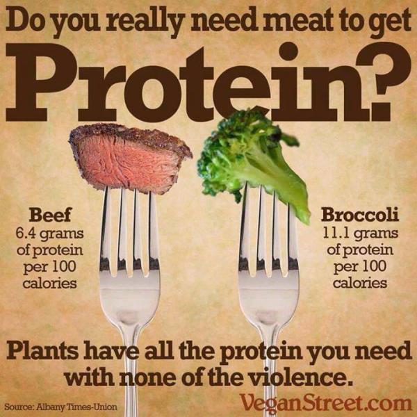 Broccoli vs. Beef