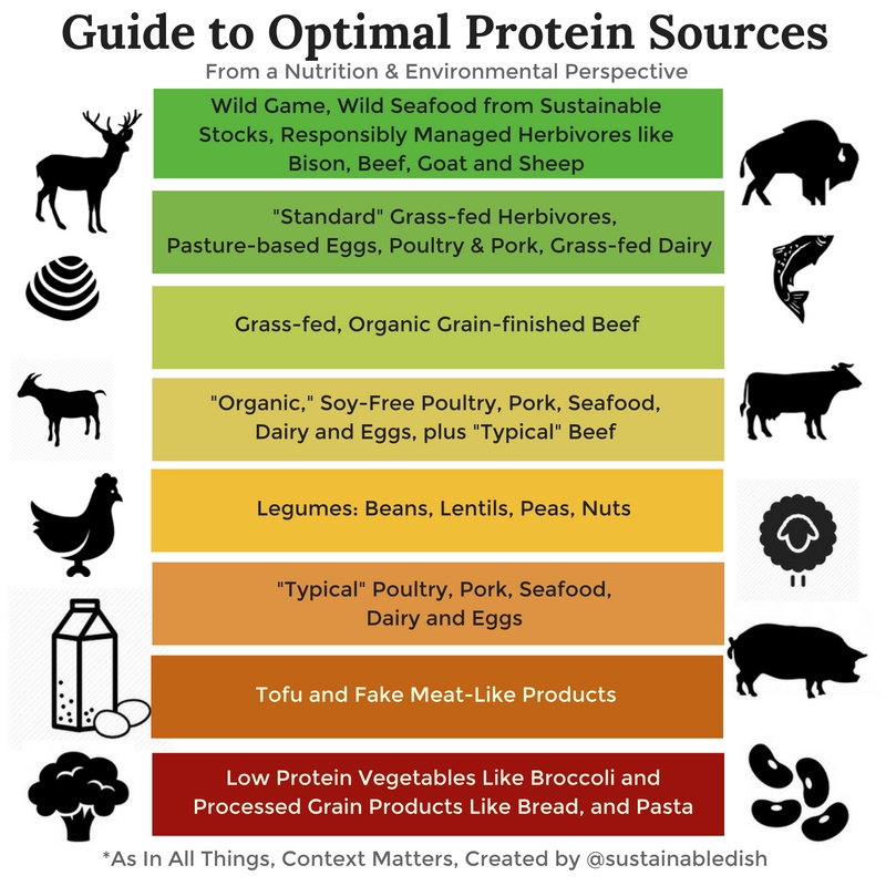 Protein In Plants Vs Meat Chart