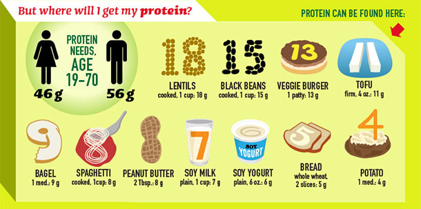 Protein Content Comparison Chart
