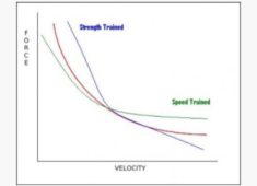 force-velocity-curve