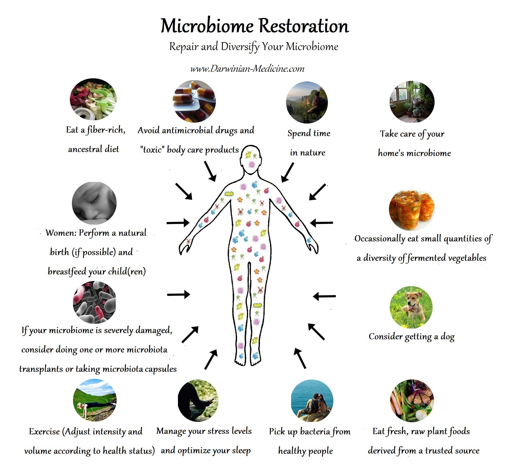 microbiome-restoration